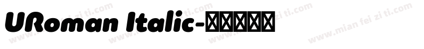 URoman Italic字体转换